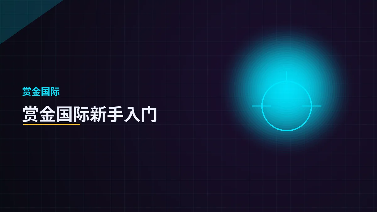 赏金国际新手入门